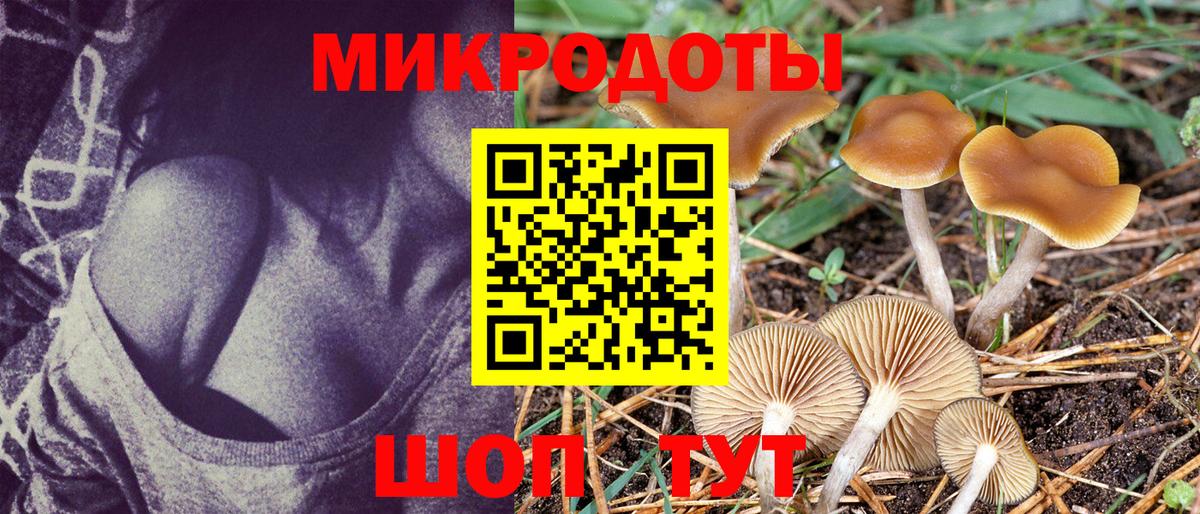 Галлюциногенные грибы MAGIC MUSHROOMS Белореченск